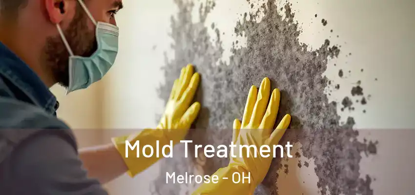  Mold Treatment Melrose - OH