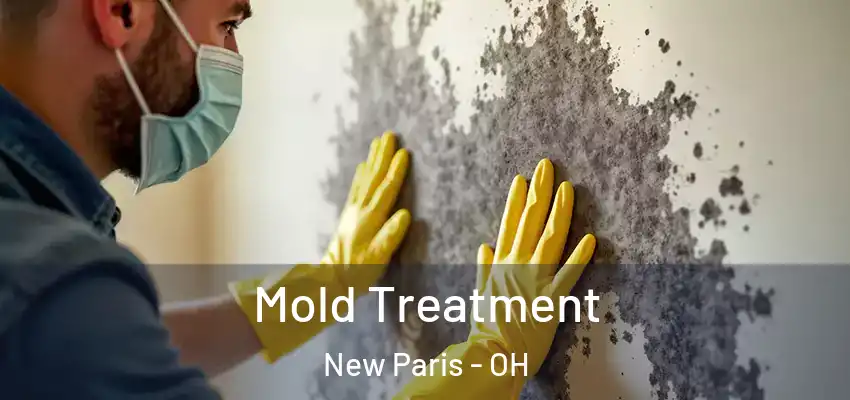  Mold Treatment New Paris - OH