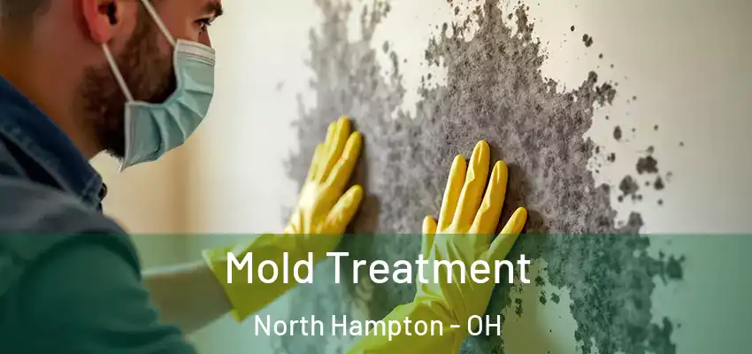  Mold Treatment North Hampton - OH