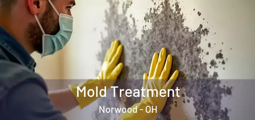  Mold Treatment Norwood - OH