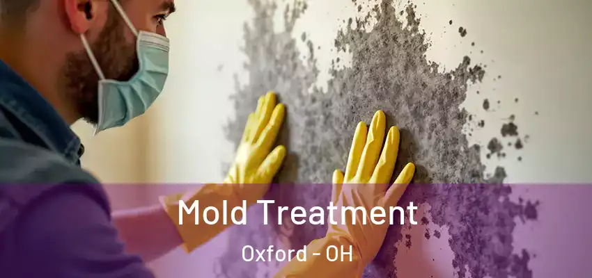  Mold Treatment Oxford - OH