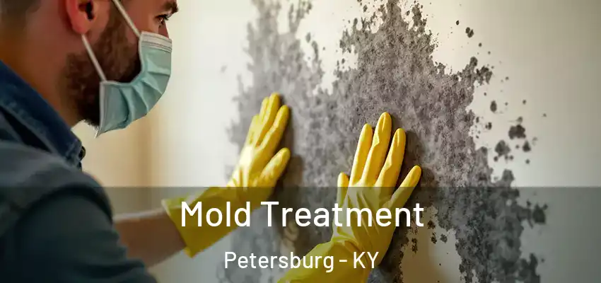 Mold Treatment Petersburg - KY