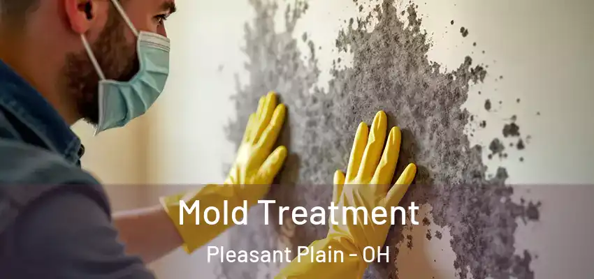  Mold Treatment Pleasant Plain - OH