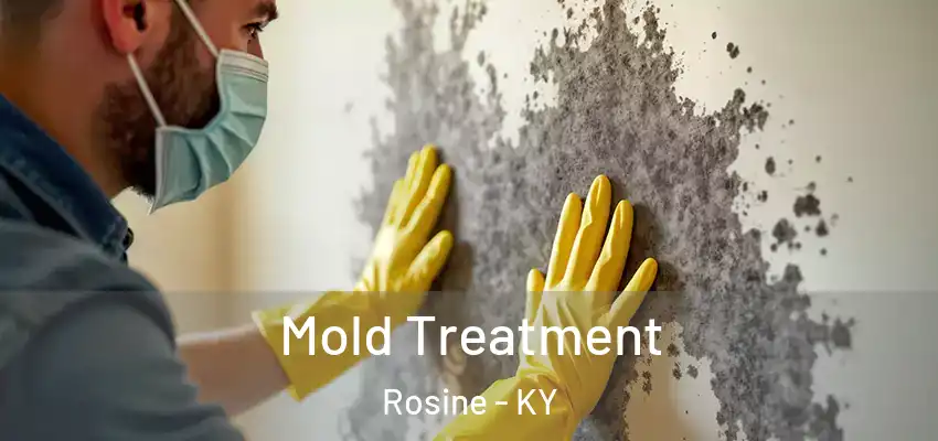  Mold Treatment Rosine - KY