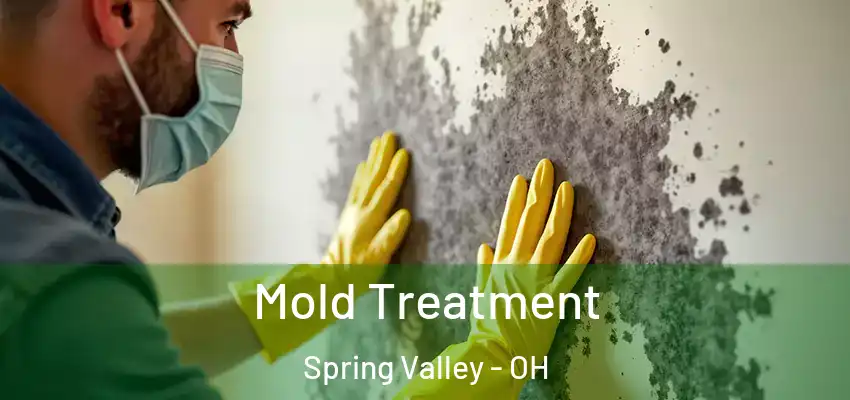  Mold Treatment Spring Valley - OH