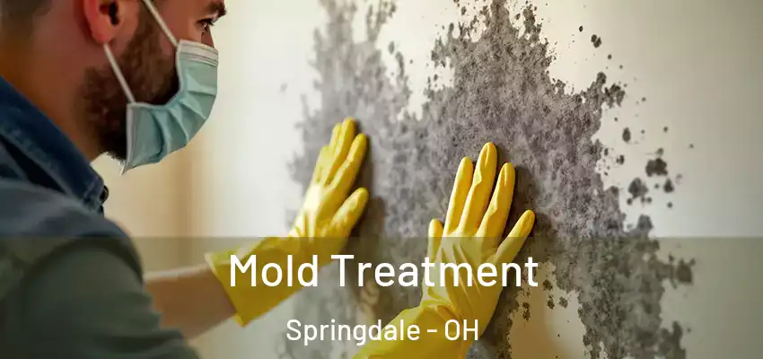  Mold Treatment Springdale - OH
