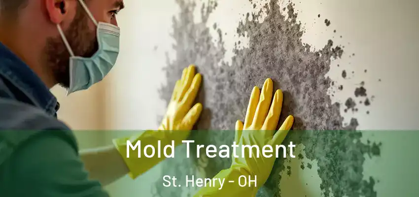  Mold Treatment St. Henry - OH
