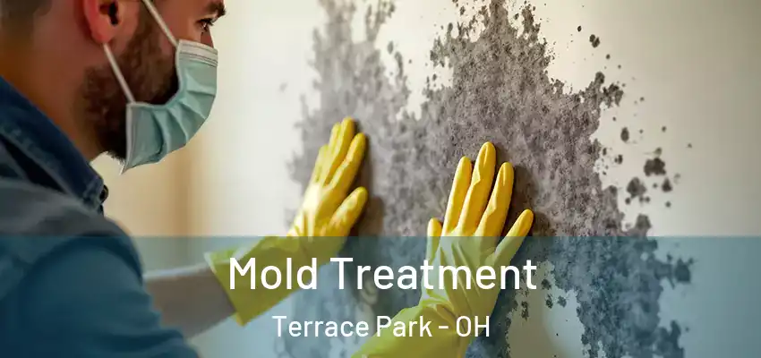  Mold Treatment Terrace Park - OH
