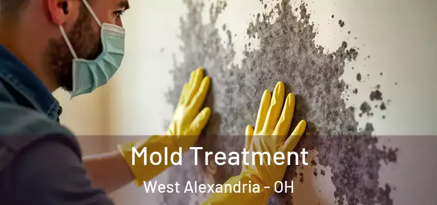  Mold Treatment West Alexandria - OH