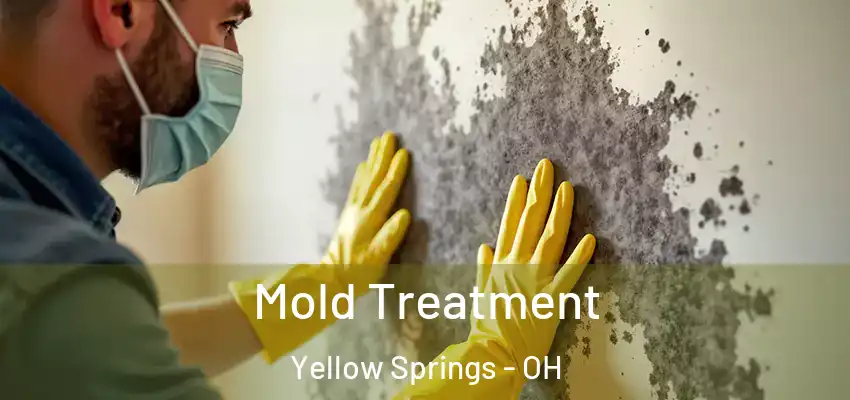 Mold Treatment Yellow Springs - OH