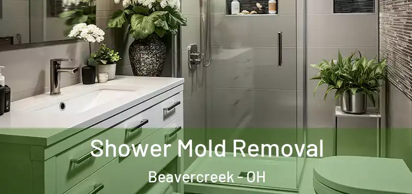 Shower Mold Removal Beavercreek - OH