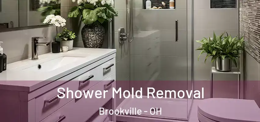  Shower Mold Removal Brookville - OH