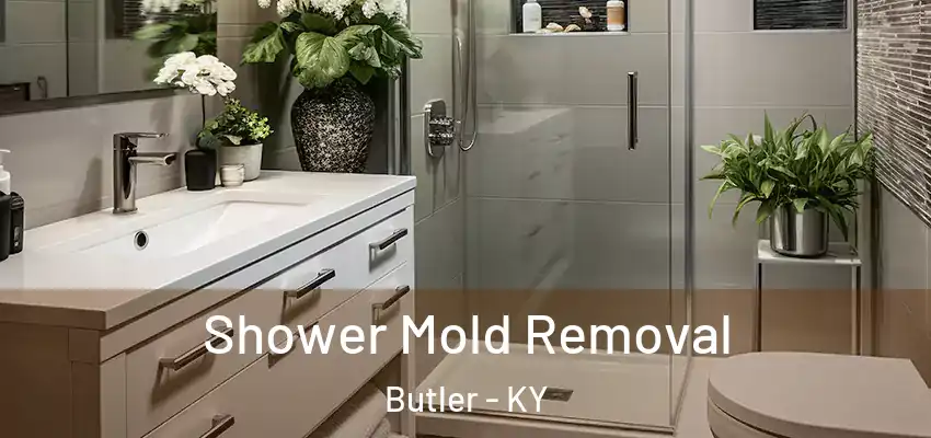  Shower Mold Removal Butler - KY