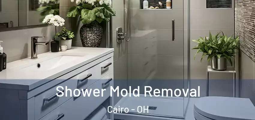  Shower Mold Removal Cairo - OH