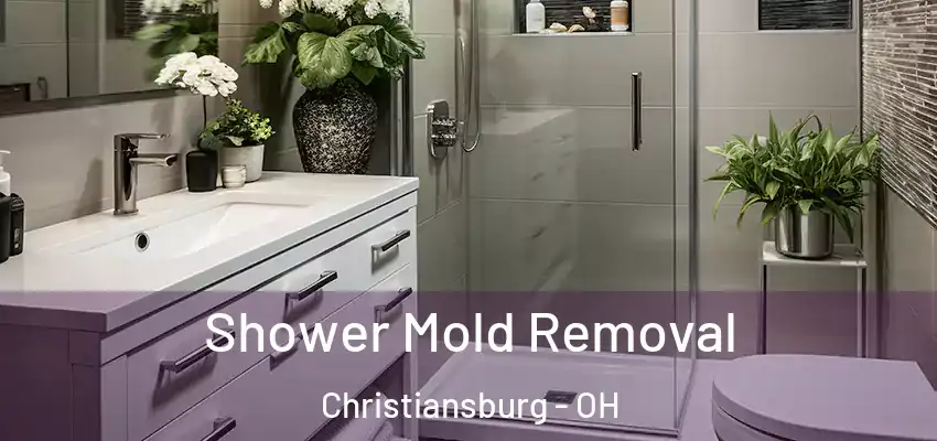  Shower Mold Removal Christiansburg - OH