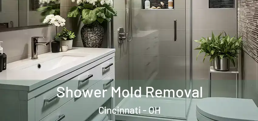  Shower Mold Removal Cincinnati - OH
