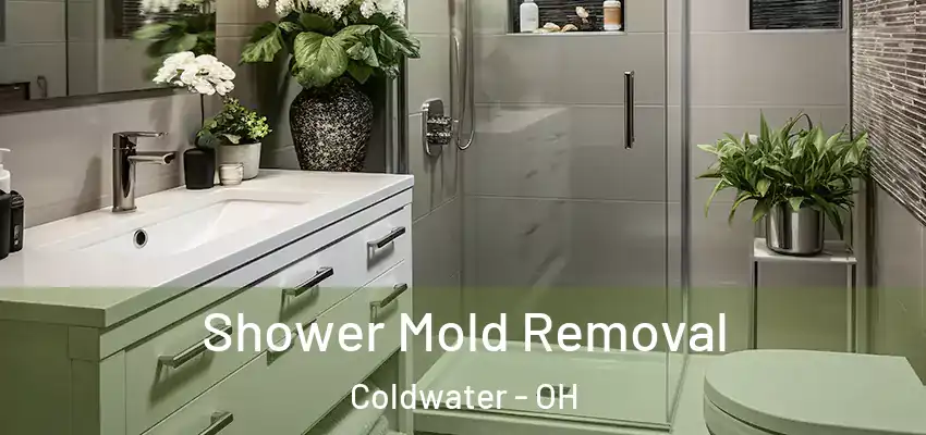  Shower Mold Removal Coldwater - OH