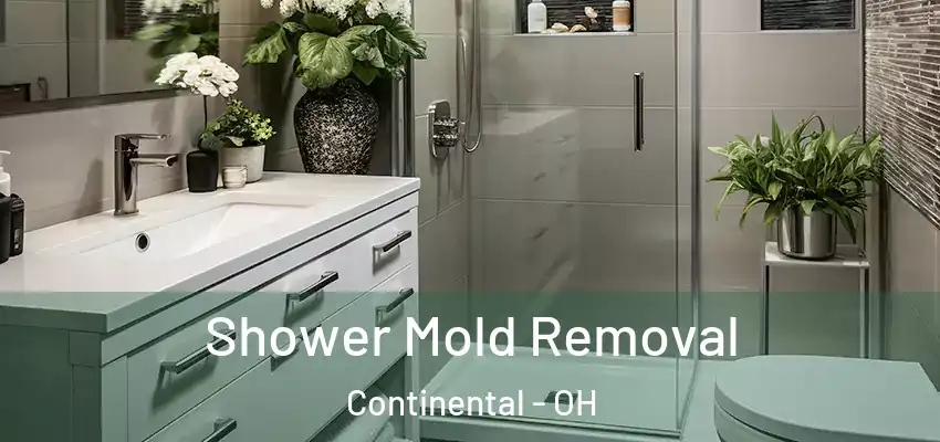  Shower Mold Removal Continental - OH