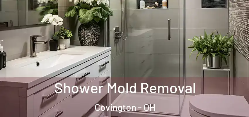  Shower Mold Removal Covington - OH