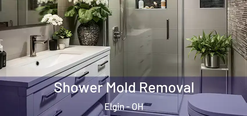  Shower Mold Removal Elgin - OH