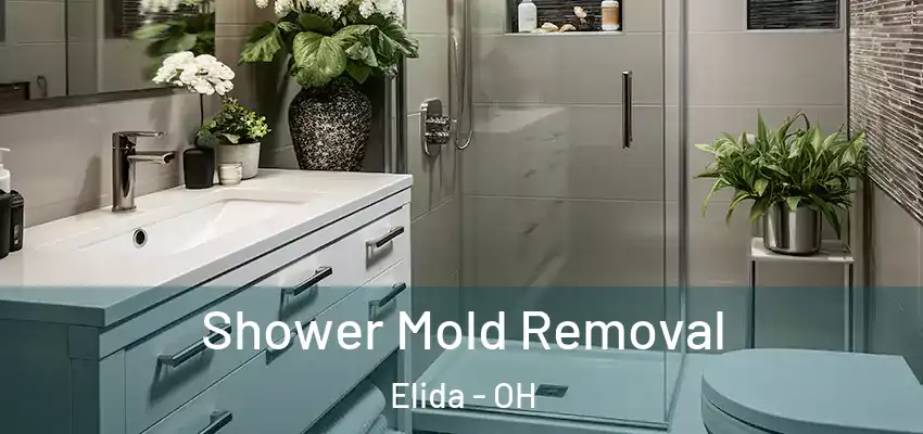  Shower Mold Removal Elida - OH
