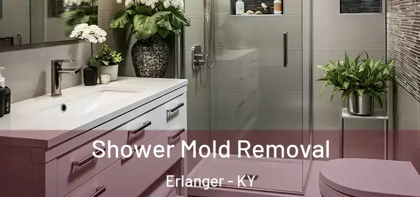 Shower Mold Removal Erlanger - KY