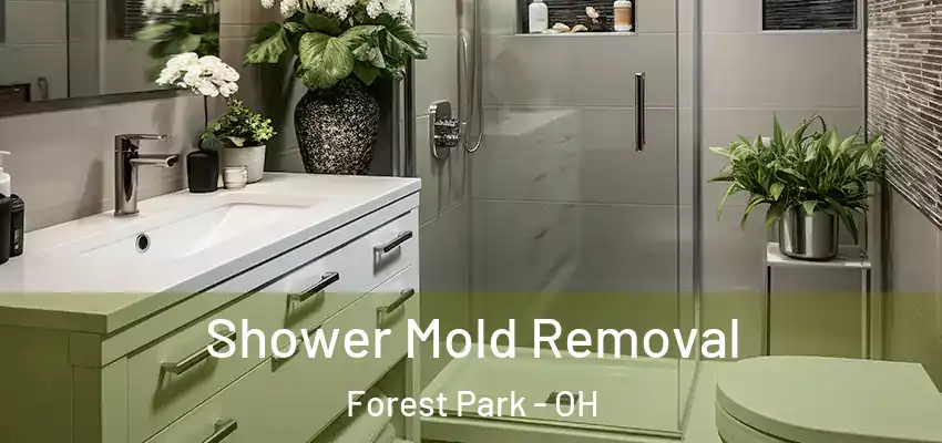  Shower Mold Removal Forest Park - OH