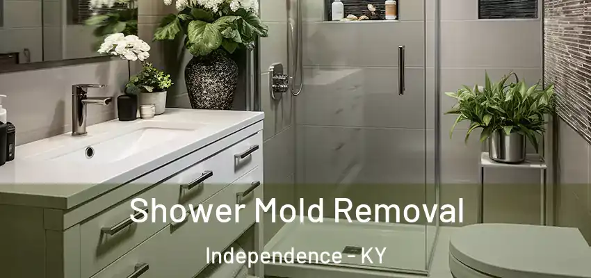  Shower Mold Removal Independence - KY