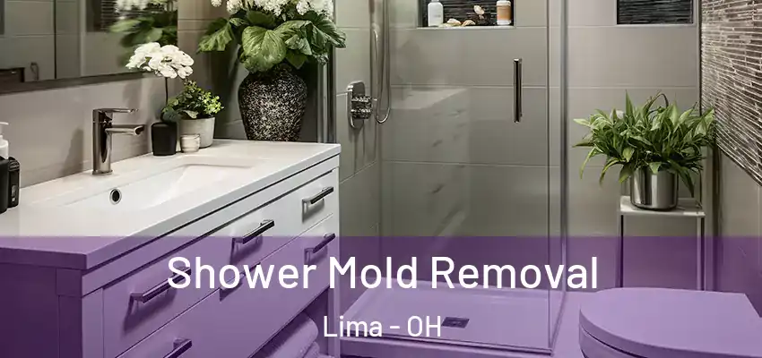  Shower Mold Removal Lima - OH