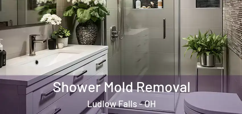 Shower Mold Removal Ludlow Falls - OH