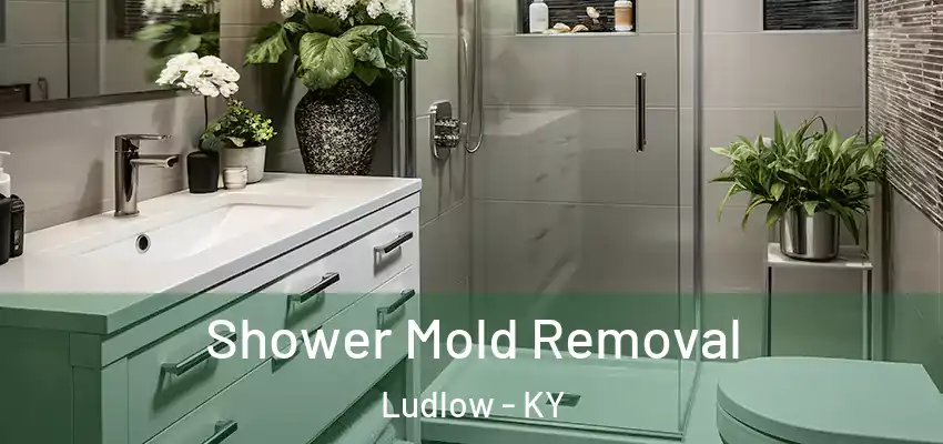  Shower Mold Removal Ludlow - KY