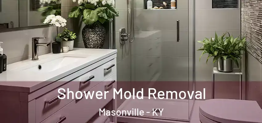  Shower Mold Removal Masonville - KY