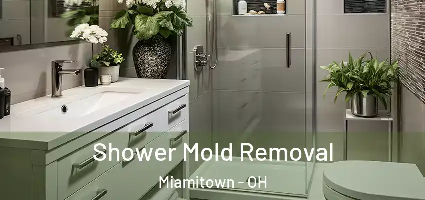  Shower Mold Removal Miamitown - OH