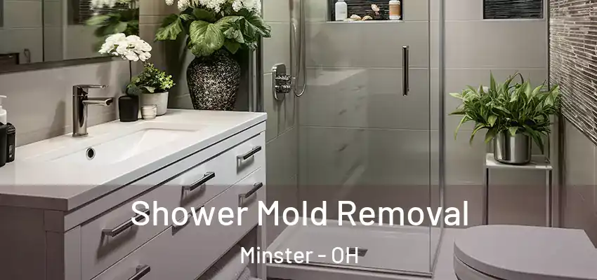  Shower Mold Removal Minster - OH