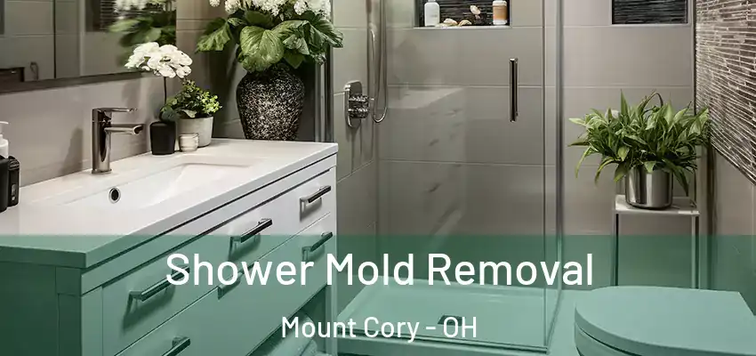  Shower Mold Removal Mount Cory - OH