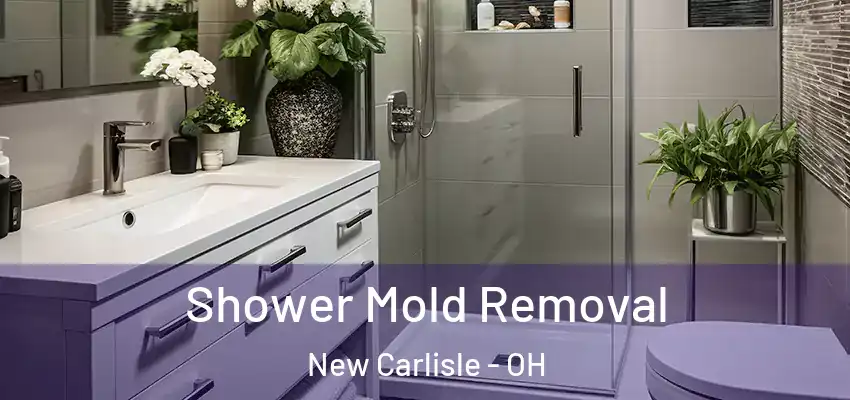 Shower Mold Removal New Carlisle - OH