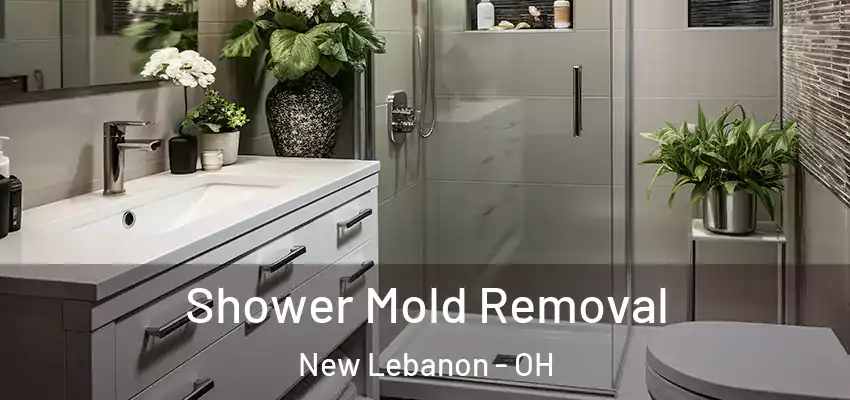 Shower Mold Removal New Lebanon - OH