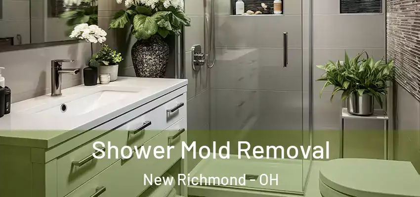  Shower Mold Removal New Richmond - OH
