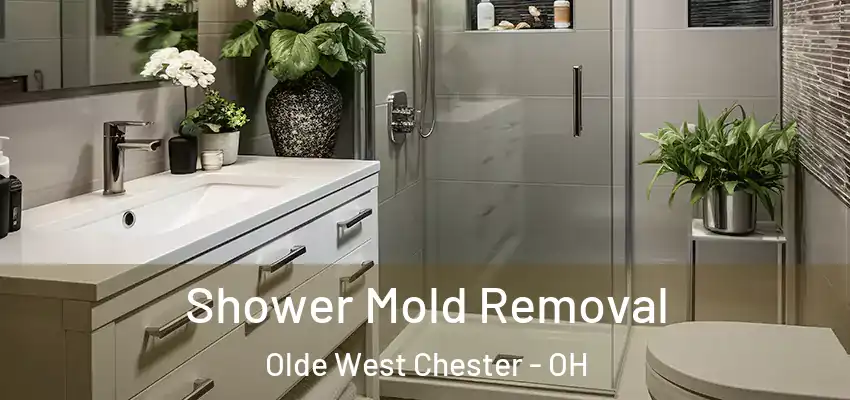  Shower Mold Removal Olde West Chester - OH