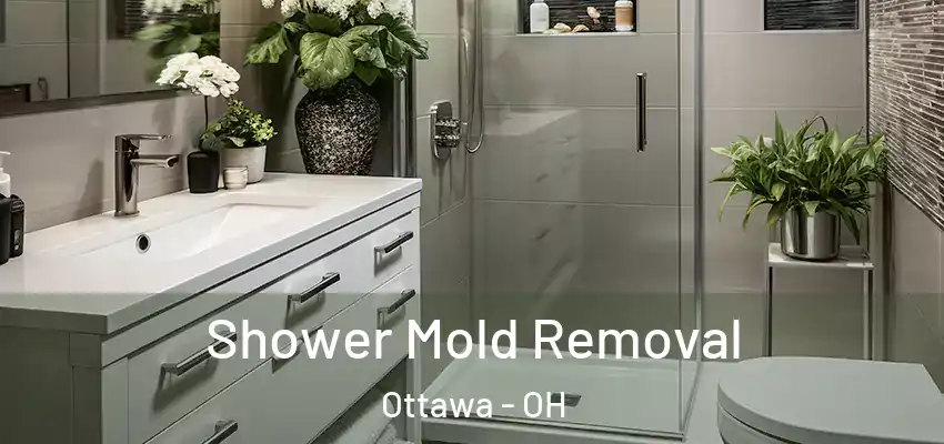  Shower Mold Removal Ottawa - OH