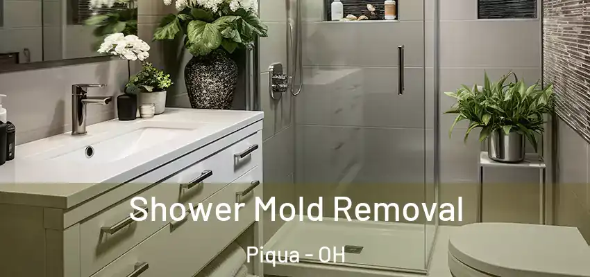  Shower Mold Removal Piqua - OH