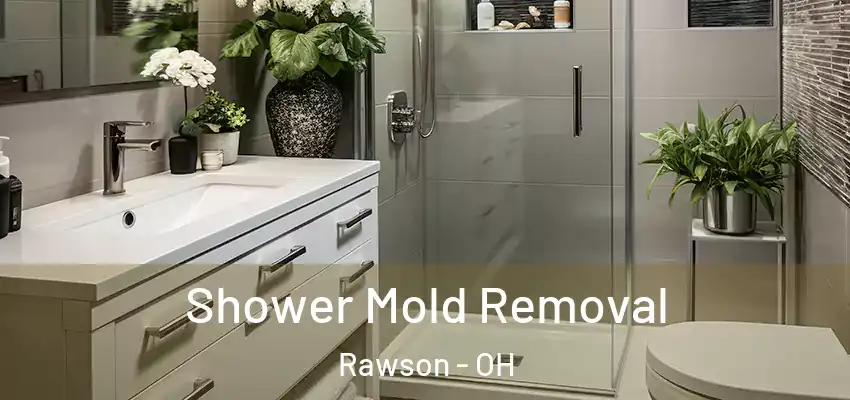  Shower Mold Removal Rawson - OH