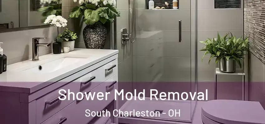 Shower Mold Removal South Charleston - OH
