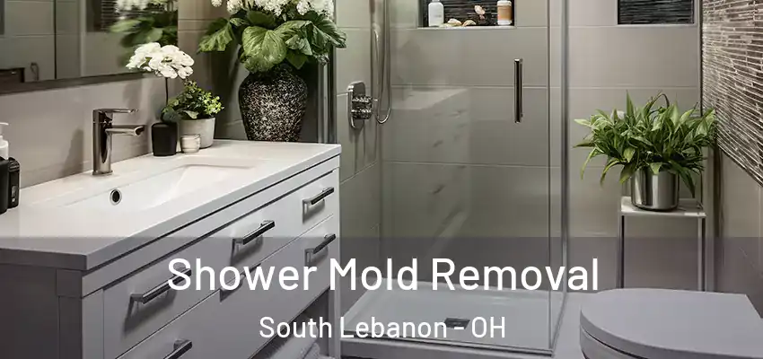  Shower Mold Removal South Lebanon - OH