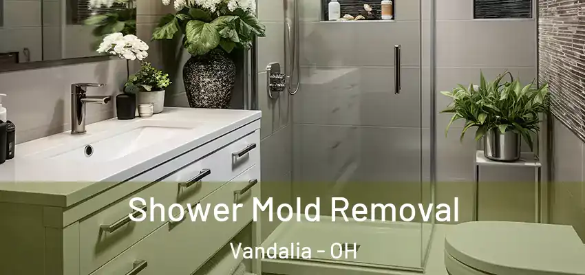 Shower Mold Removal Vandalia - OH