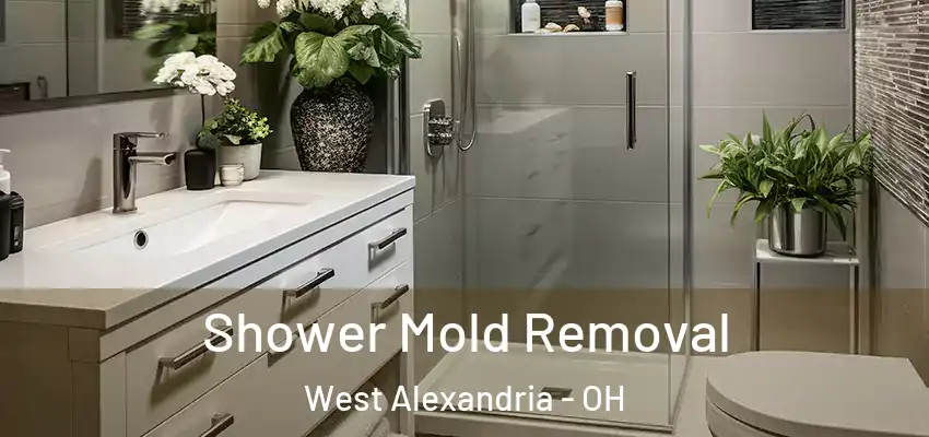 Shower Mold Removal West Alexandria - OH