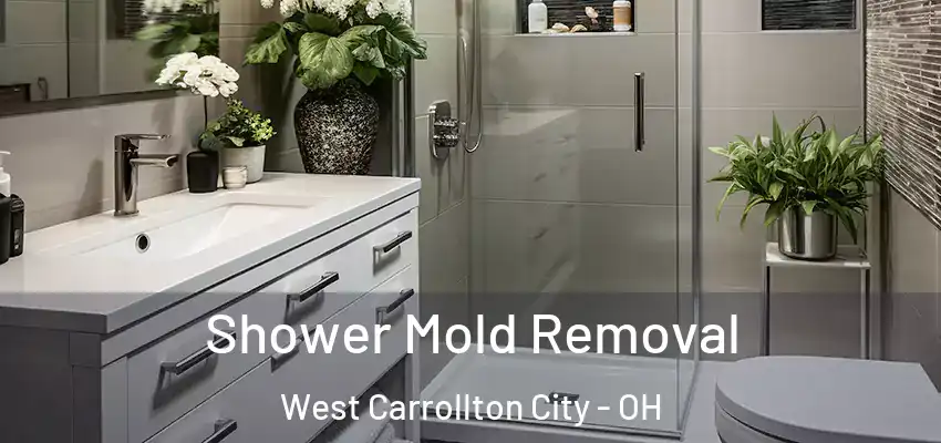  Shower Mold Removal West Carrollton City - OH
