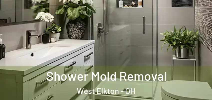  Shower Mold Removal West Elkton - OH