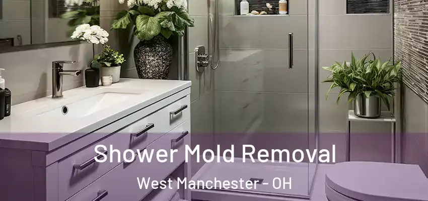 Shower Mold Removal West Manchester - OH