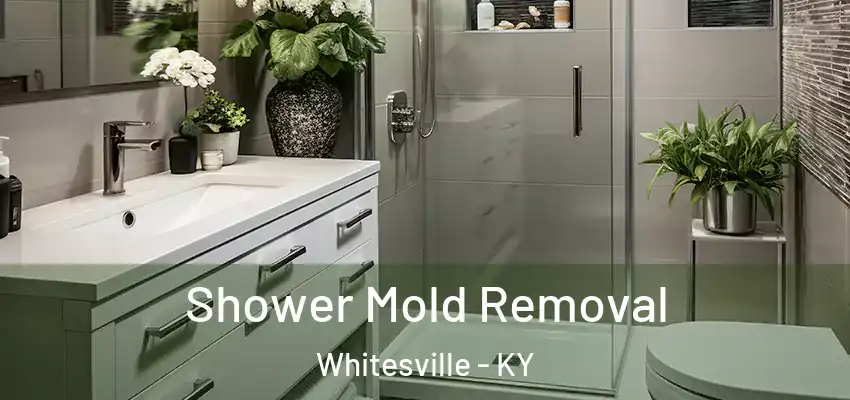  Shower Mold Removal Whitesville - KY